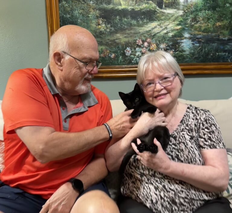 ADOPT Mending Hearts Pet Rescue